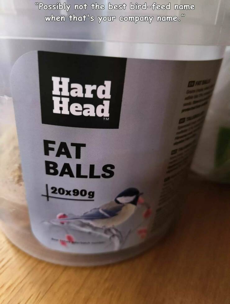 random pics for your daily dose - cup - "Possibly not the best birdfeed name when that's your company name." Hard Head Tm Fat Balls 20x 20x90g