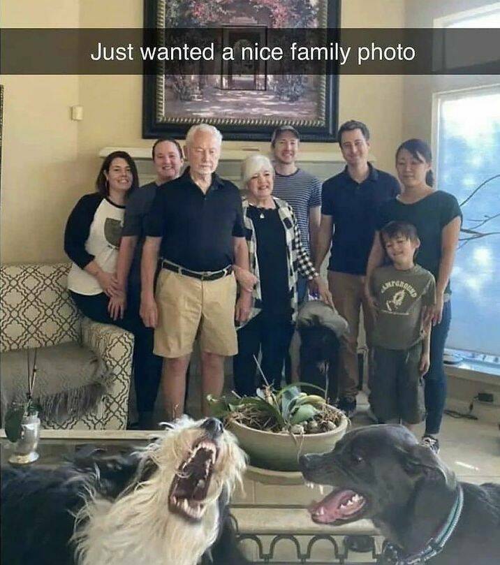 cool random pics and photos - photo caption - Just wanted a nice family photo