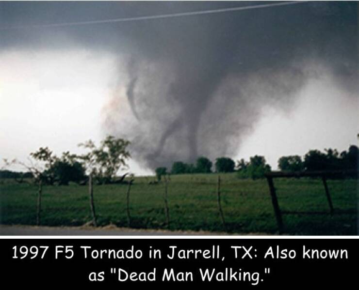 random photos for your daily dose - jarrell tornado cows - 1997 F5 Tornado in Jarrell, Tx Also known as "Dead Man Walking."