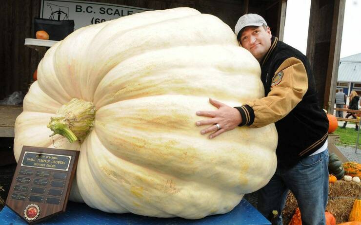 cool random pics - biggest pumpkin canada - 1085 Coll Cant Pumpkin Growers Province Racord Da Varen B.C. Scale 60