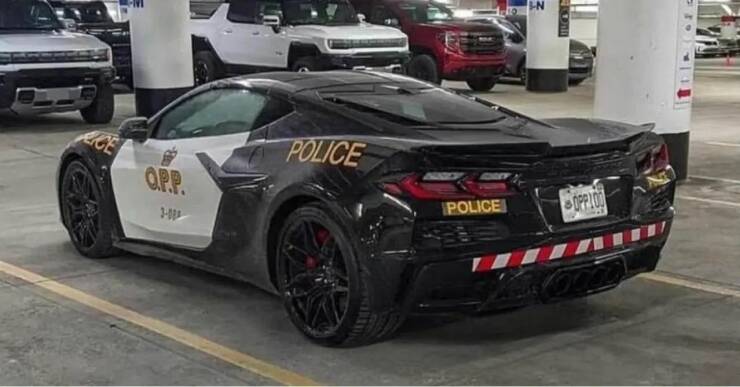 cool random pics -  Chevrolet Corvette - Eft Q.P.P. Police 110 Police IN SOPP100 To