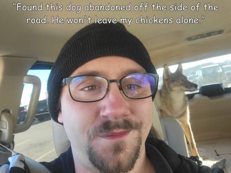 cool random pics - glasses - "Found this dog abandoned off the side of the road. He won't leave my chickens alone."