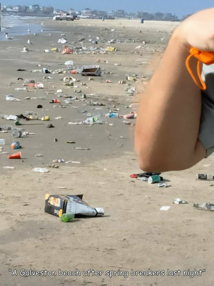 cool random pics - beach - "A Galveston beach after spring breakers last night"