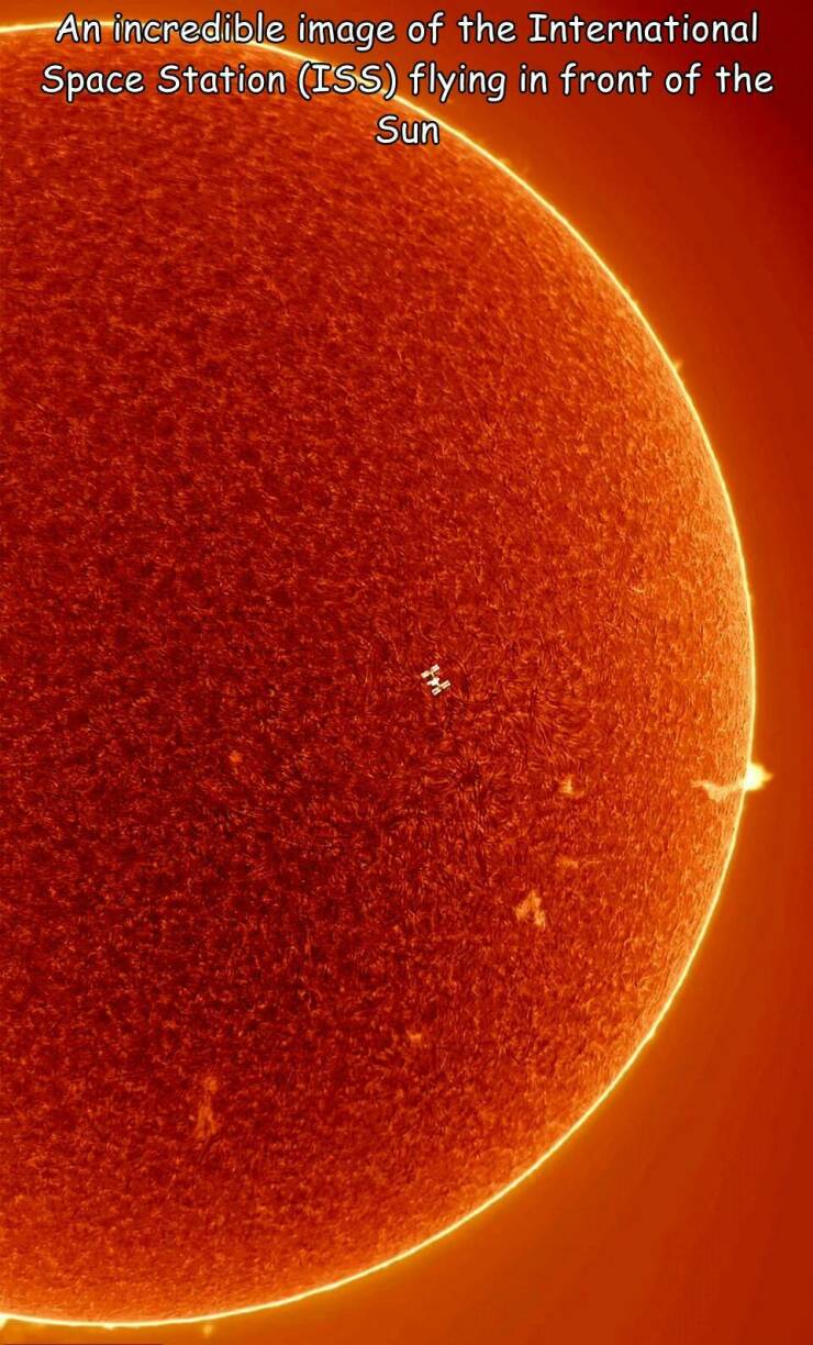 cool random pics - orange - An incredible image of the International Space Station Iss flying in front of the Sun