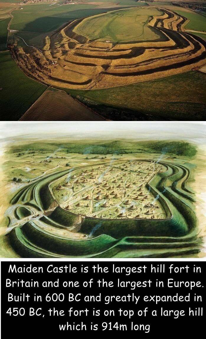 cool pics and photos - iron age britain - R Maiden Castle is the largest hill fort in Britain and one of the largest in Europe. Built in 600 Bc and greatly expanded in 450 Bc, the fort is on top of a large hill which is 914m long
