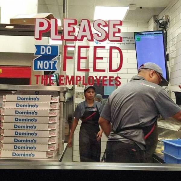 cool random pics and photos - customer - Please Do Not Feed The Employees WInh Domino's fi Domino's Varbola Domino's Tre Domino's F Domino's Eg Domino's Fpm Domino's M Domino's belila Domino's Sofia Eople on mpany in the Wo