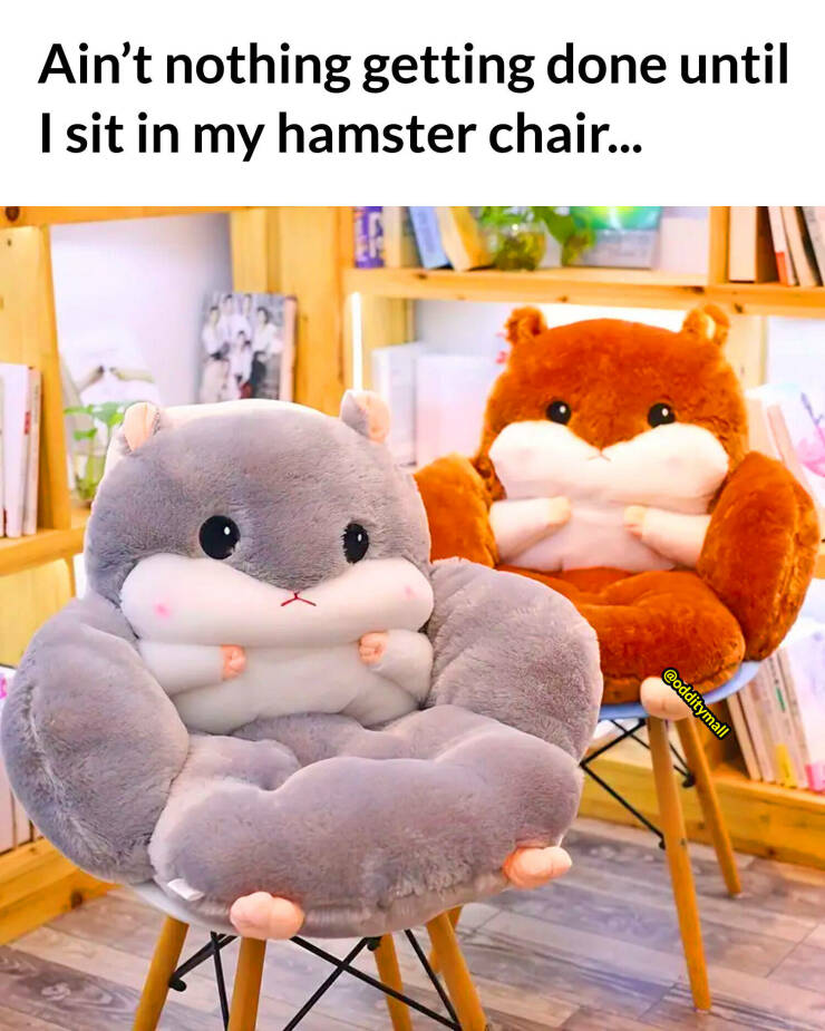 cool random pics - stuffed toy - Ain't nothing getting done until I sit in my hamster chair...