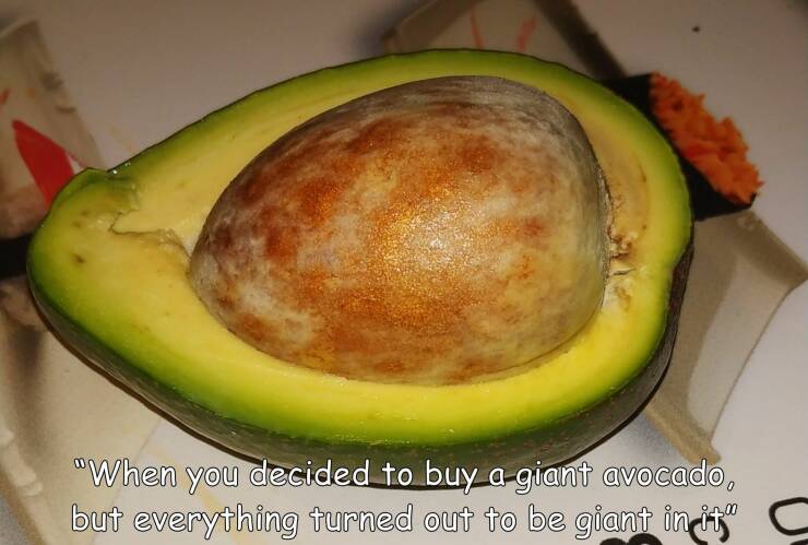 cool random pics and photos - avocado - "When you decided to buy a giant avocado, but everything turned out to be giant in it"