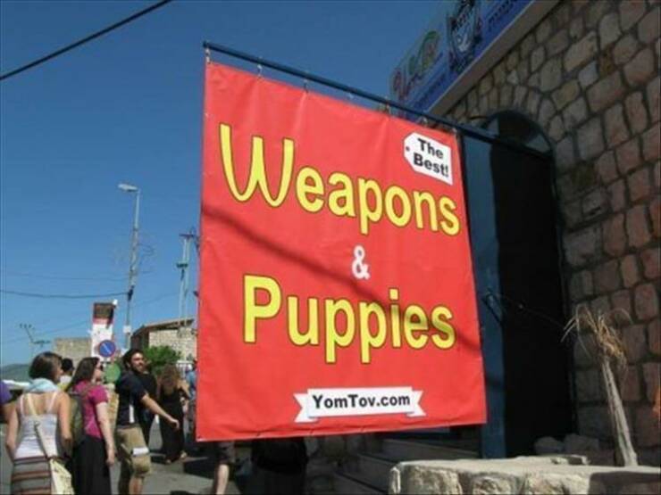 cool random p[cis - two things that don t go together - Weapons & Puppies YomTov.com The Best!
