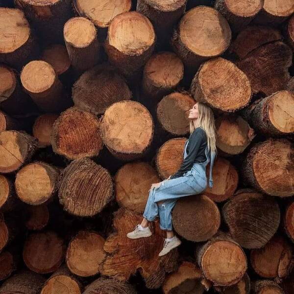 cool random p[cis - lumber