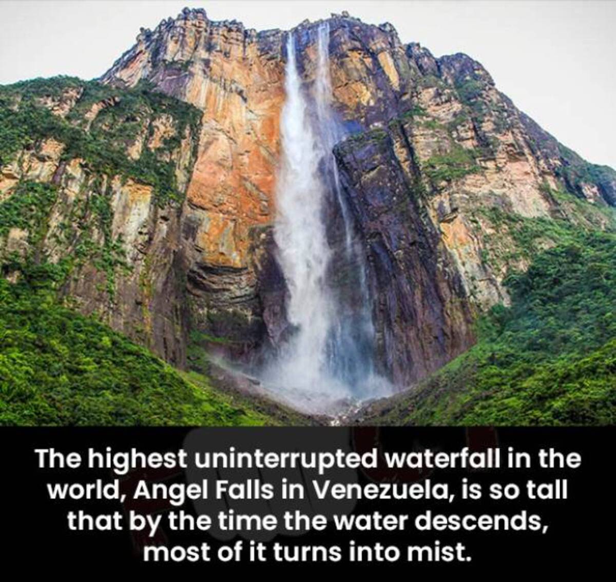 The highest uninterrupted waterfall in the world, Angel Falls in Venezuela, is so tall that by the time the water descends, most of it turns into mist.