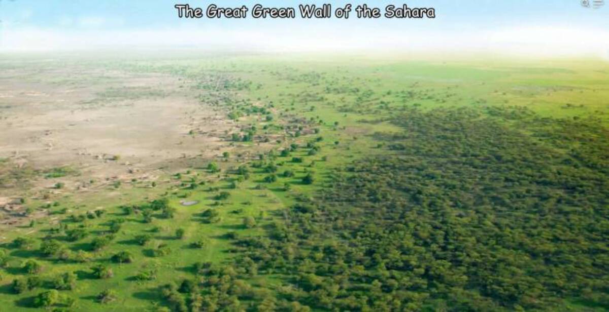 great green wall africa - The Great Green Wall of the Sahara