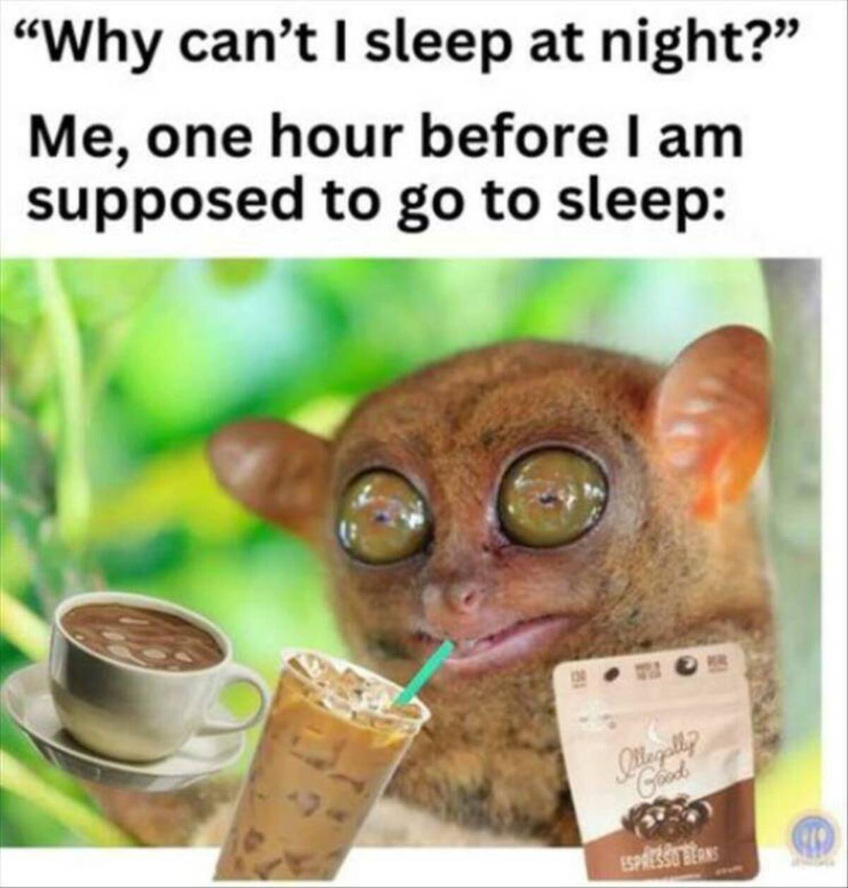 fauna - "Why can't I sleep at night?" Me, one hour before I am supposed to go to sleep Illegally Good Espresso Berns