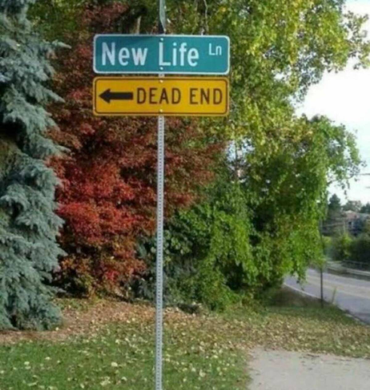 street sign - New Life Ln