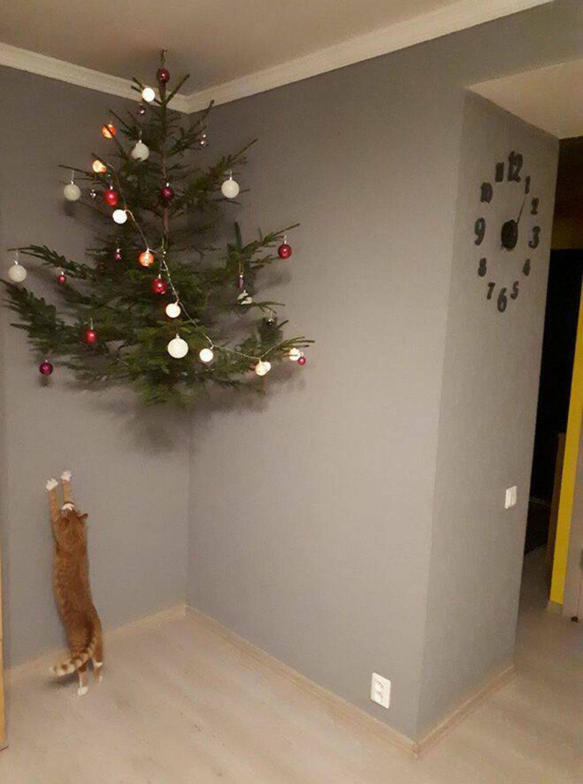 cat proof christmas tree meme