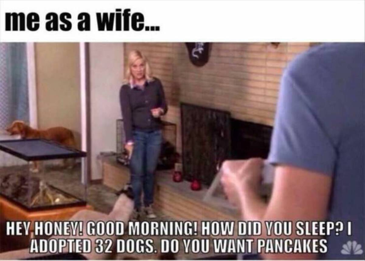 leg - me as a wife... Hey Honey! Good Morning! How Did You Sleep? I Adopted 32 Dogs. Do You Want Pancakes