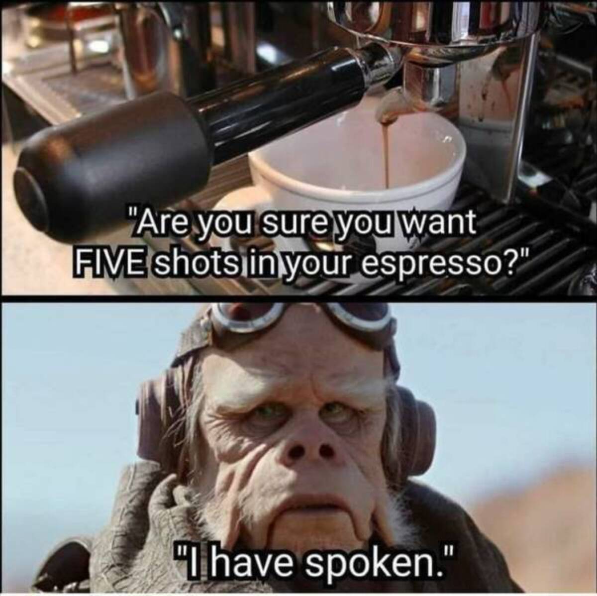 funny memes 2023 - "Are you sure you want Five shots in your espresso?" "I have spoken."