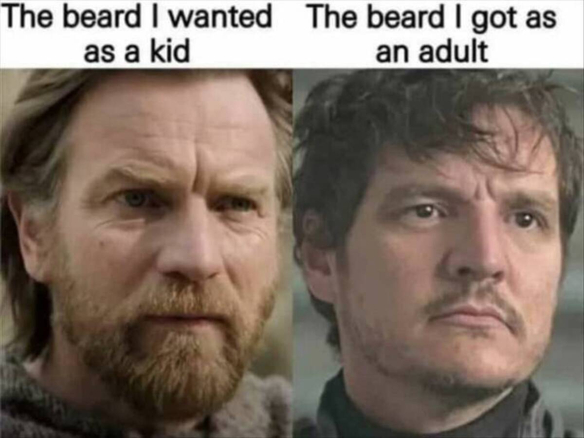 beard i want meme - The beard I wanted The beard I got as as a kid an adult