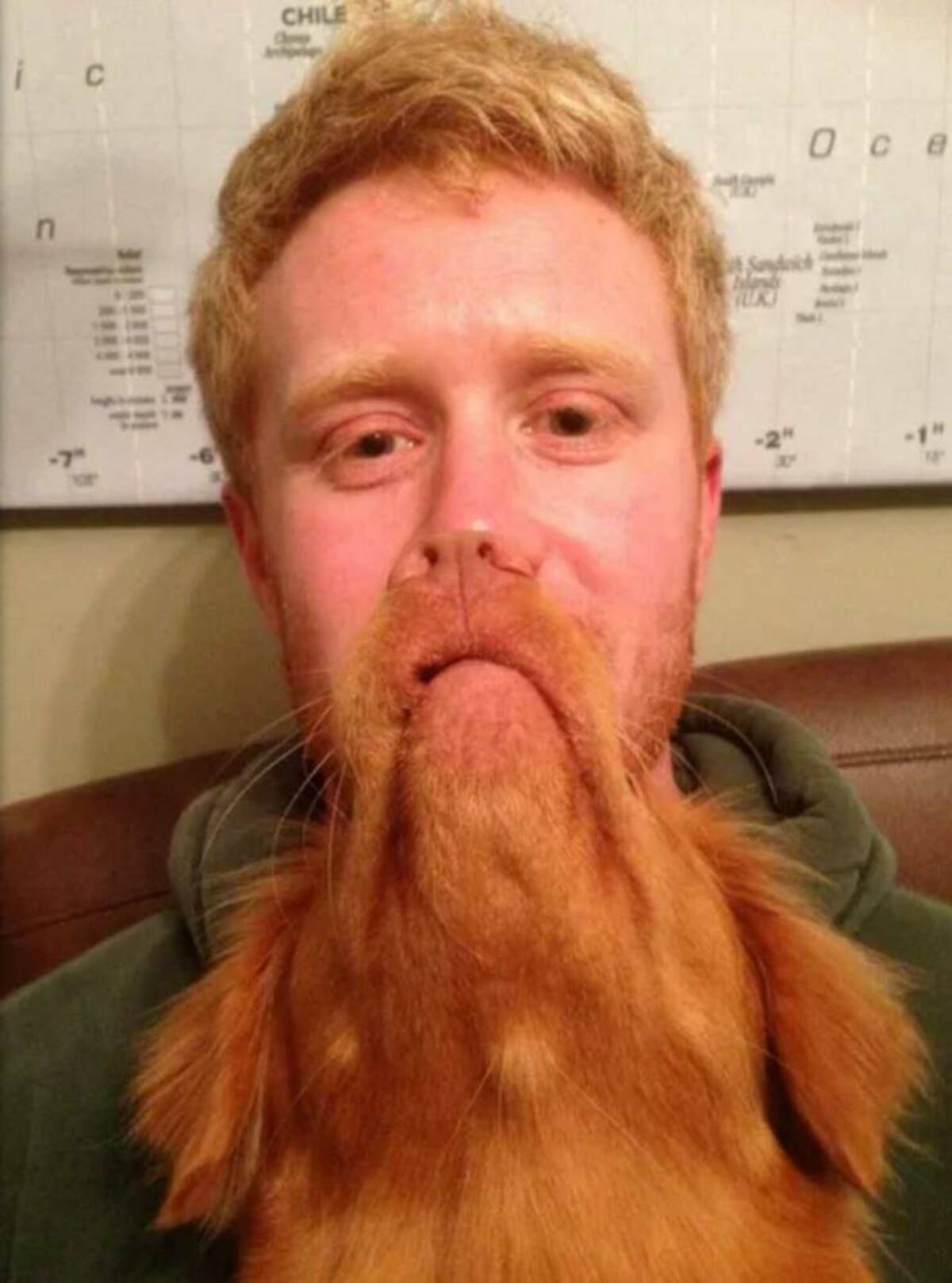 ginger beard man - ic n Chile 24 D c e 1H