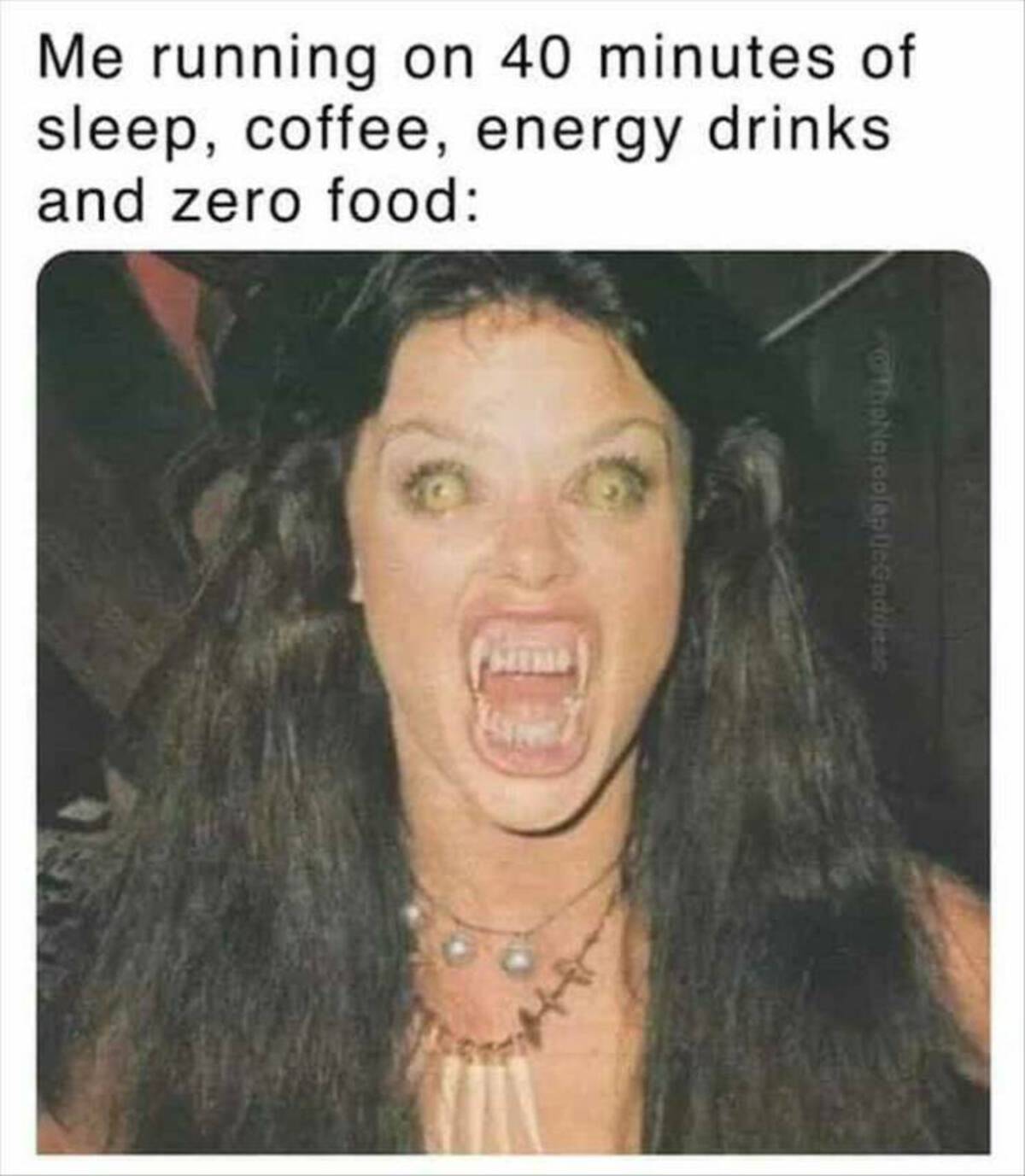 head - Me running on 40 minutes of sleep, coffee, energy drinks and zero food Hemp The NarcolepteGadditac