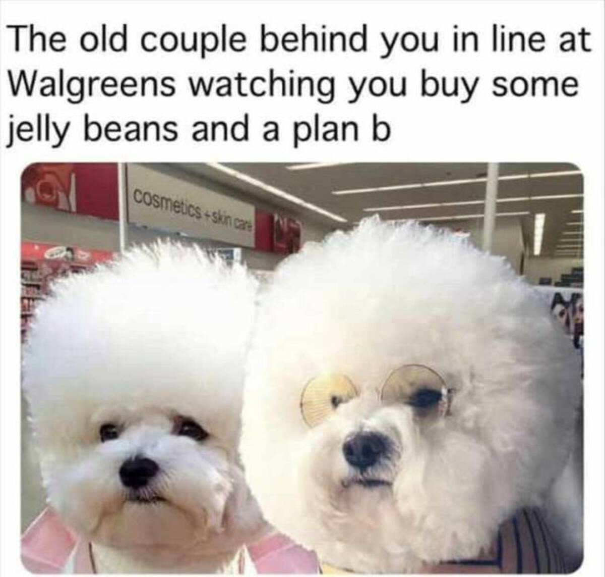 dog - The old couple behind you in line at Walgreens watching you buy some jelly beans and a plan b Cosmeticsskin care