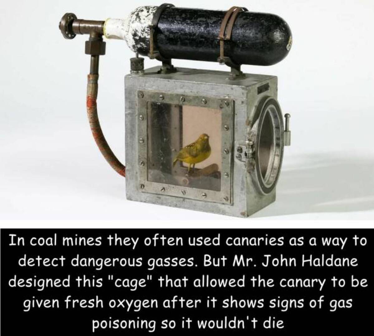 canary space suit - In coal mines they often used canaries as a way to detect dangerous gasses. But Mr. John Haldane designed this "cage" that allowed the canary to be given fresh oxygen after it shows signs of gas poisoning so it wouldn't die