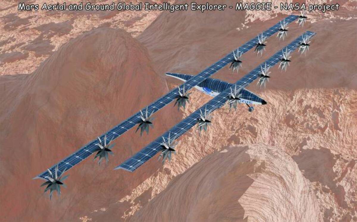 40 Fun Photos For Your Enjoyment