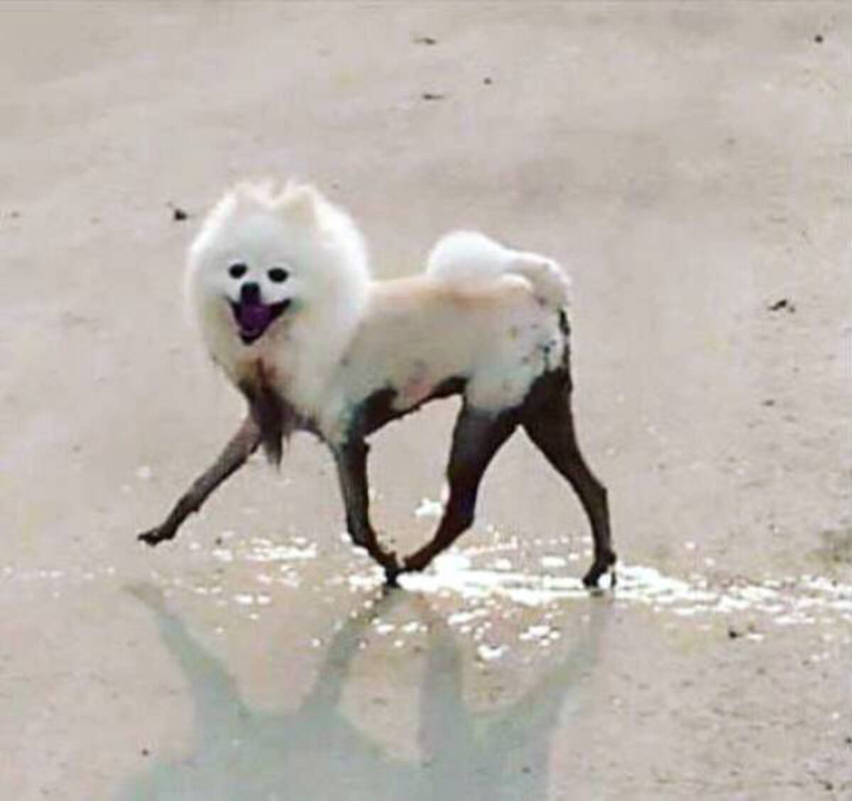 40 Fun Photos For Your Enjoyment