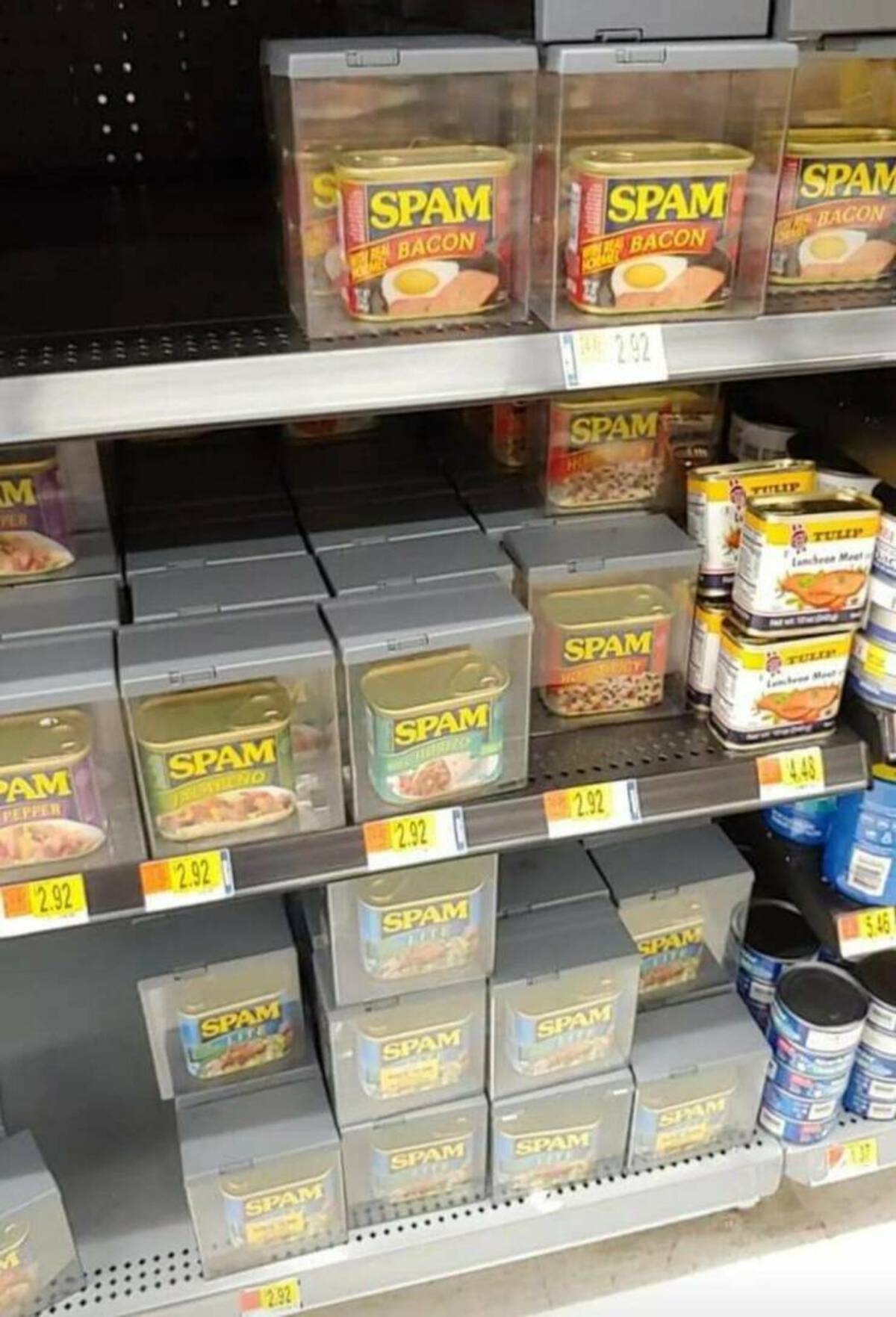 40 Fun Photos For Your Enjoyment