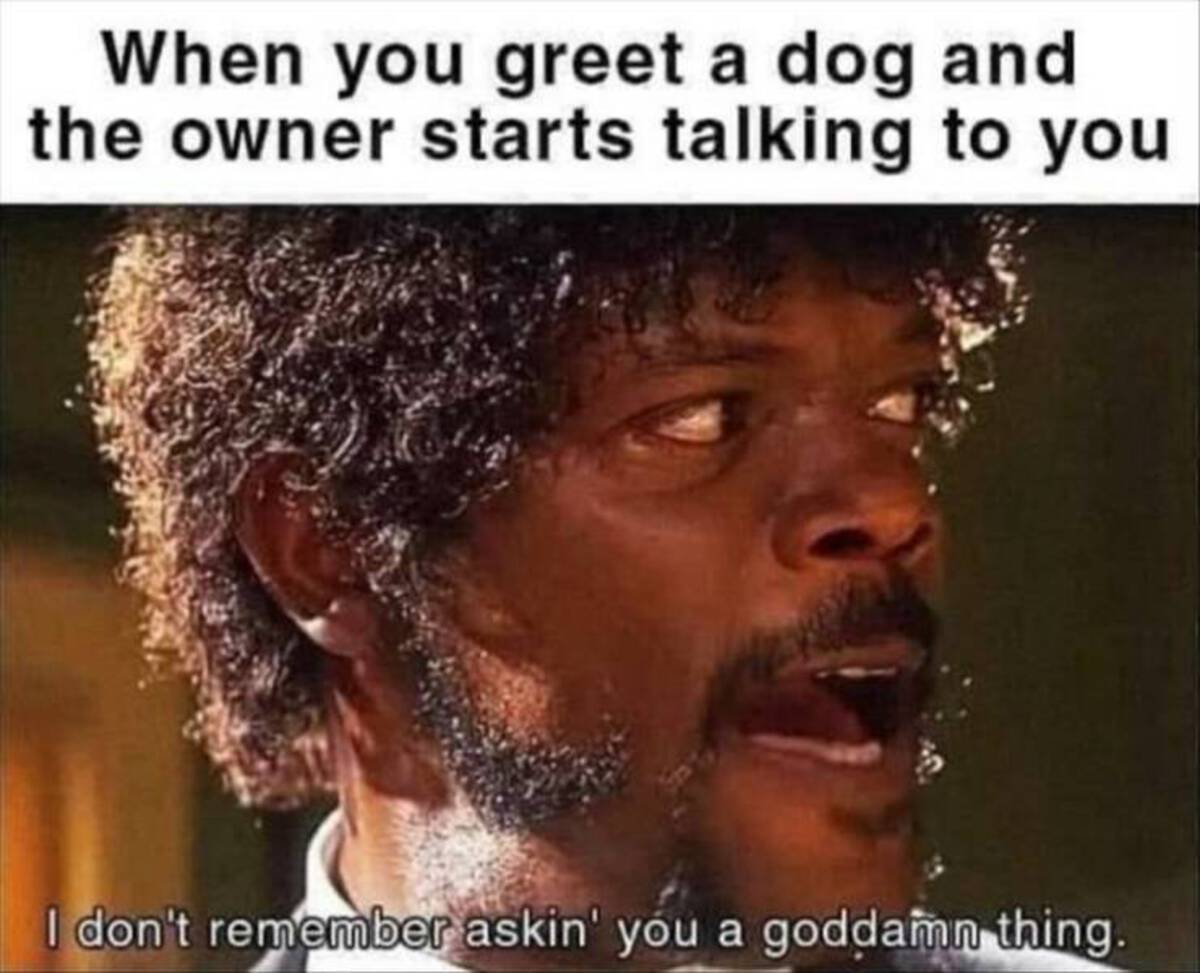 40 Fun Photos For Your Enjoyment