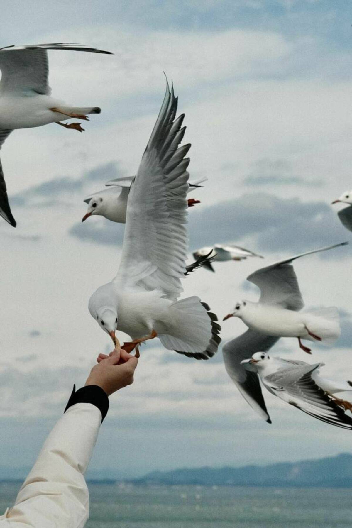 40 Fun Photos For Your Enjoyment