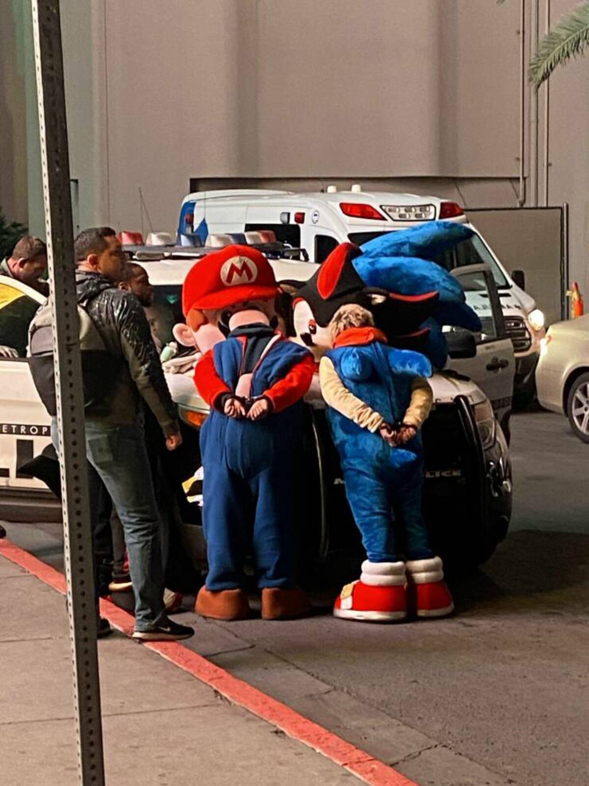 40 Fun Photos For Your Enjoyment