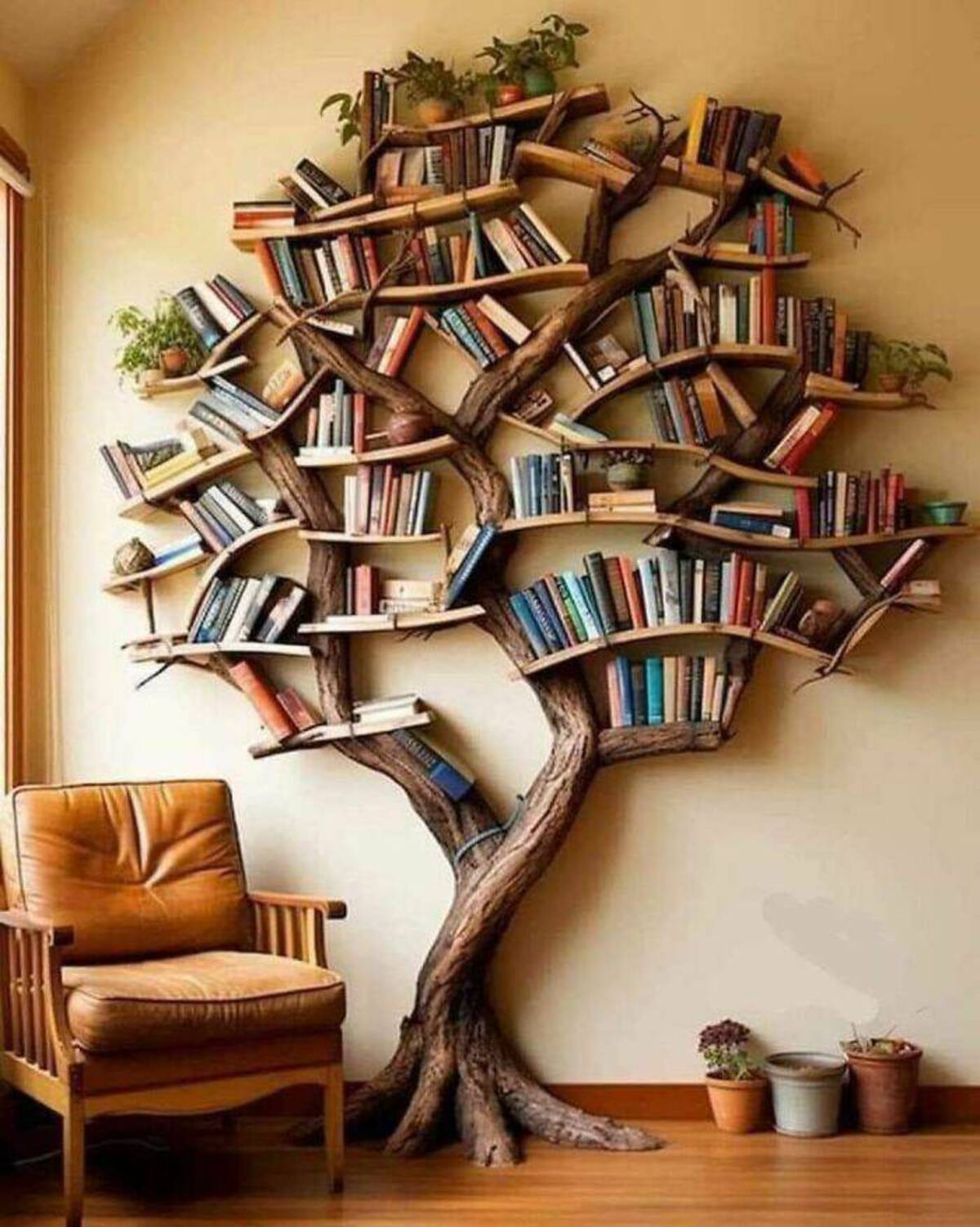 cool bookshelves - Entiss