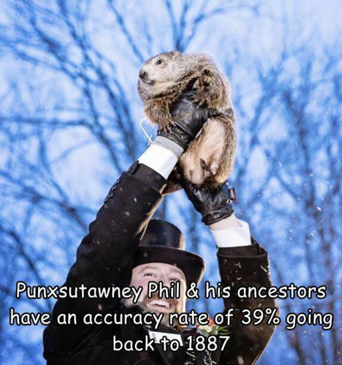 photo caption - Punxsutawney Phil & his ancestors have an accuracy rate of 39% going back to 1887