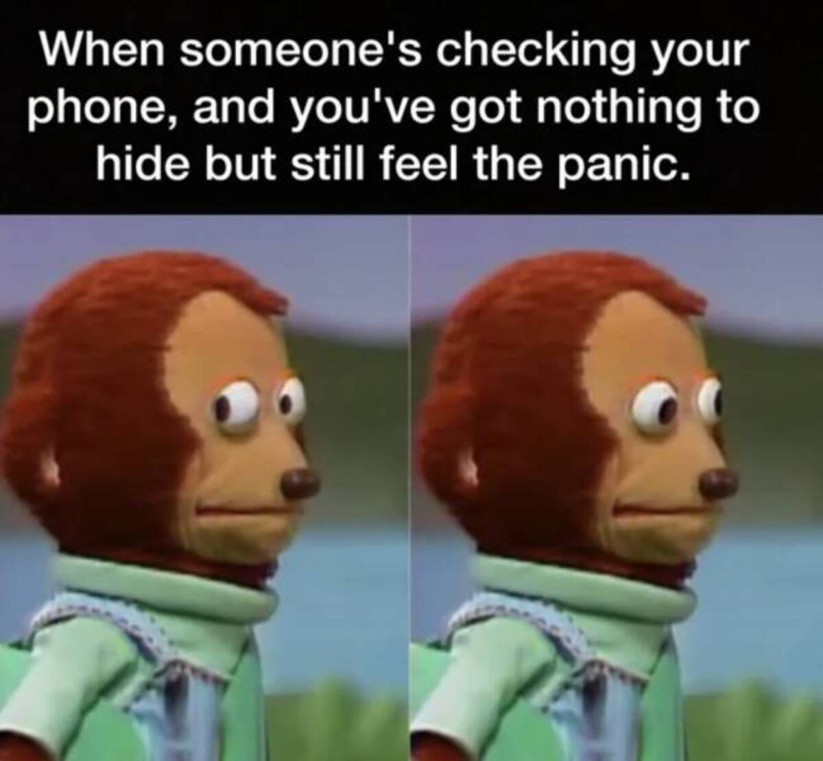 memes for cool people - When someone's checking your phone, and you've got nothing to hide but still feel the panic.