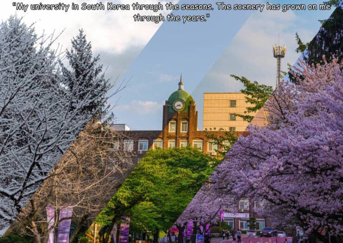 landmark - "My university in South Korea through the seasons. The scenery has grown on me through the years."
