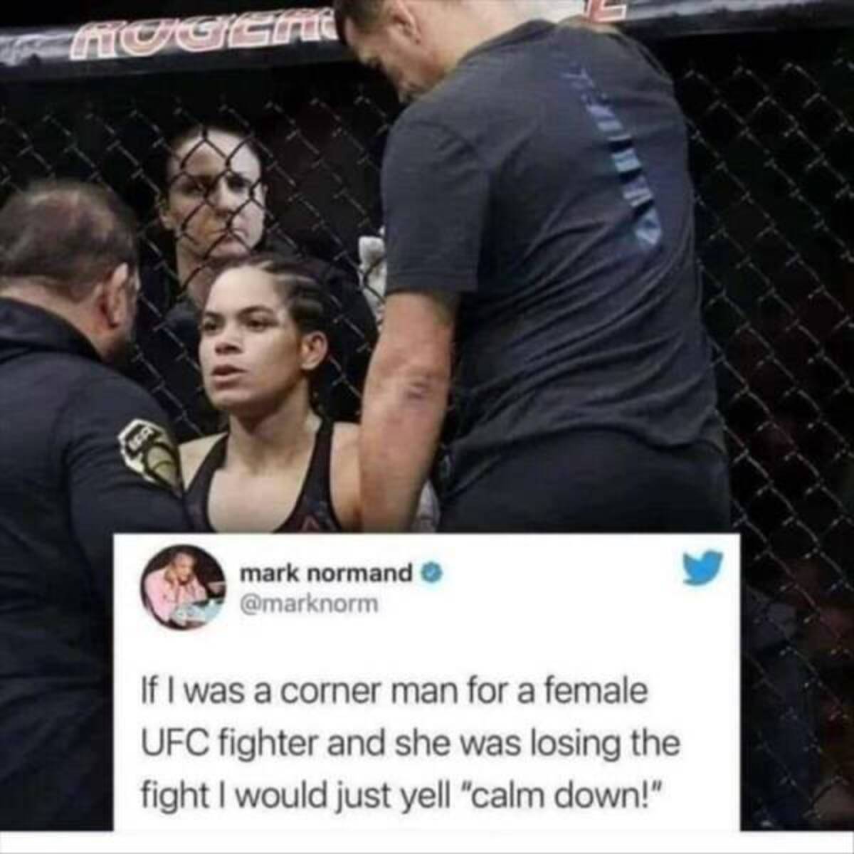 photo caption - Hoger Ok mark normand If I was a corner man for a female Ufc fighter and she was losing the fight I would just yell "calm down!"