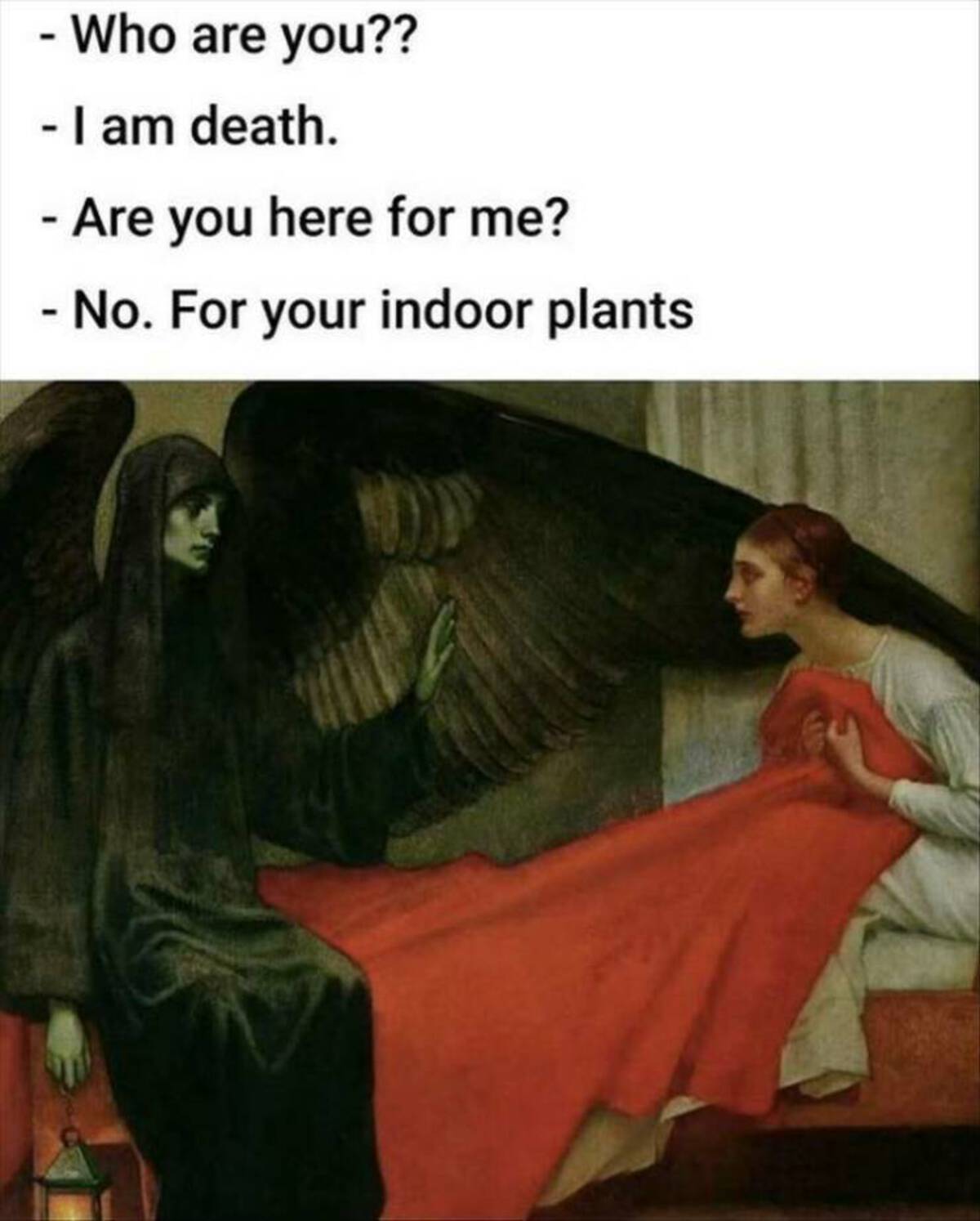 young girl and death - Who are you?? I am death. Are you here for me? No. For your indoor plants D