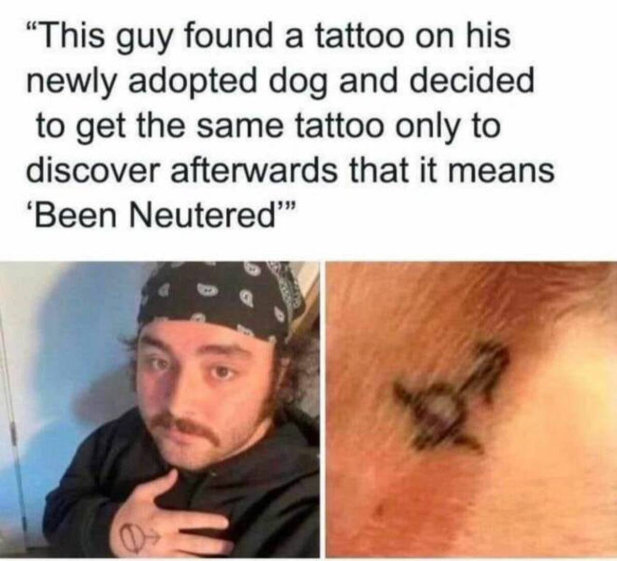 head - "This guy found a tattoo on his newly adopted dog and decided to get the same tattoo only to discover afterwards that it means 'Been Neutered""