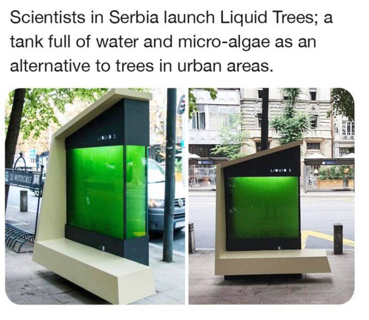 liquid tree serbia - Scientists in Serbia launch Liquid Trees; a tank full of water and microalgae as an alternative to trees in urban areas. Za Motocikle Liquid 3