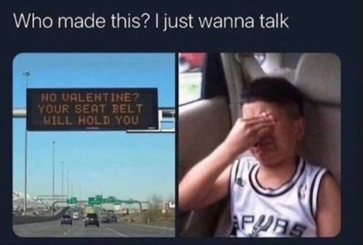 video - Who made this? I just wanna talk No Valentine? Your Seat Belt Will Hold You Purs