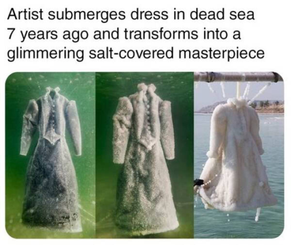 fur - Artist submerges dress in dead sea 7 years ago and transforms into a glimmering saltcovered masterpiece