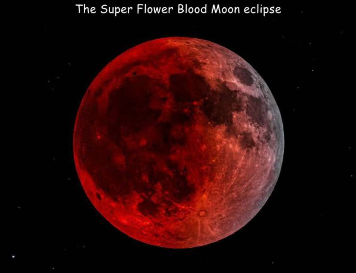 sorensdale park - The Super Flower Blood Moon eclipse