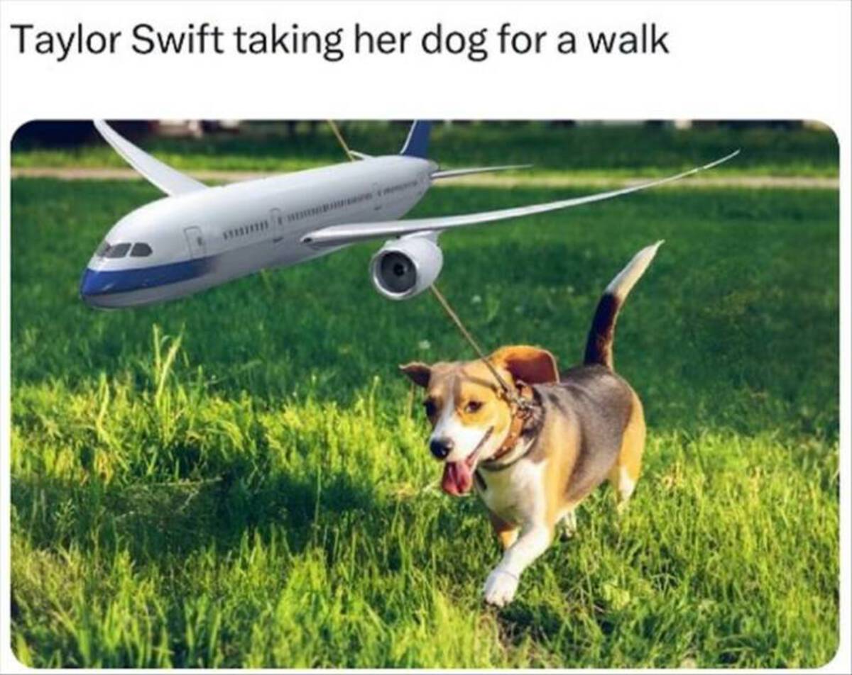 walking dog grass - Taylor Swift taking her dog for a walk