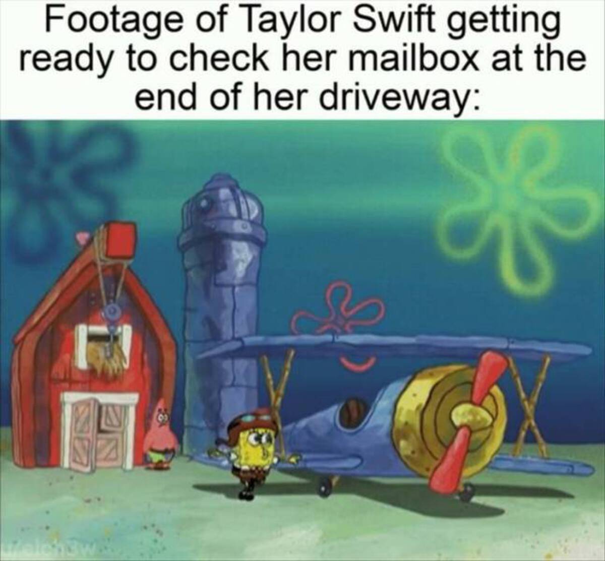 cartoon - Footage of Taylor Swift getting ready to check her mailbox at the end of her driveway N