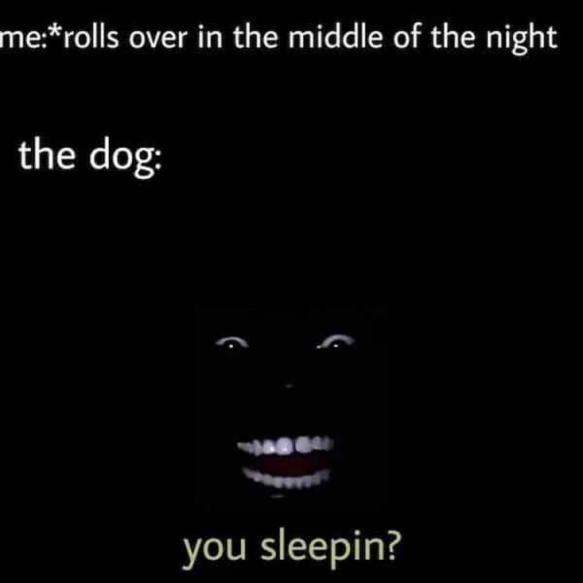 head - merolls over in the middle of the night the dog you sleepin?