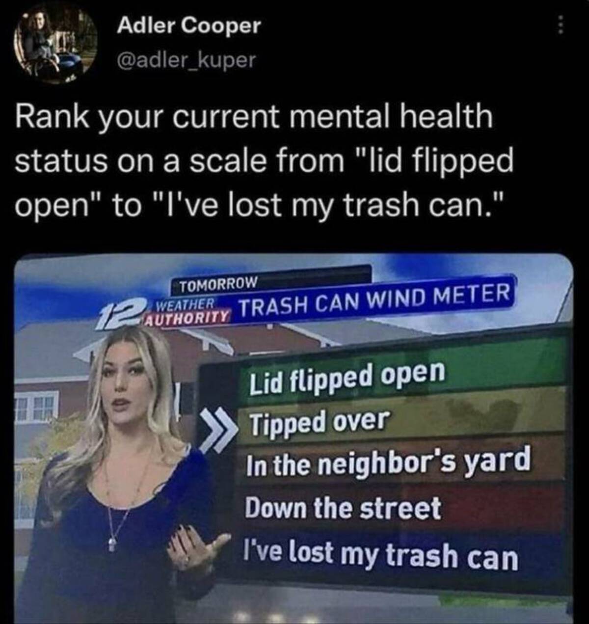 media - Adler Cooper Rank your current mental health status on a scale from "lid flipped open" to "I've lost my trash can." Tomorrow 12 Weatherty Trash Can Wind Meter Lid flipped open Tipped over In the neighbor's yard Down the street I've lost my trash c