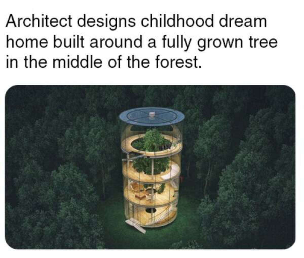 circular house - Architect designs childhood dream home built around a fully grown tree in the middle of the forest.