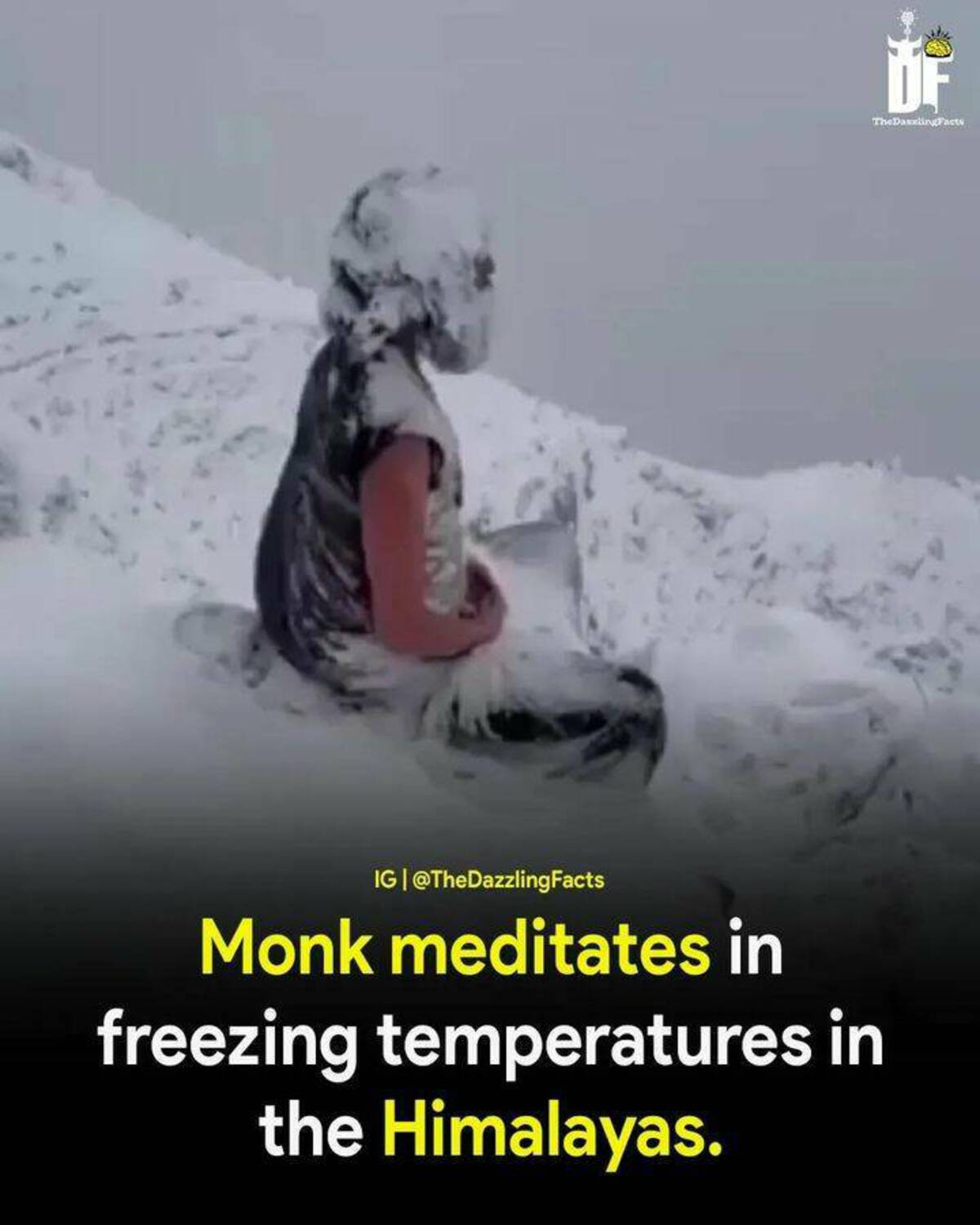 photo caption - Ig | Facts Monk meditates in Of TheDarlingFacts freezing temperatures in the Himalayas.