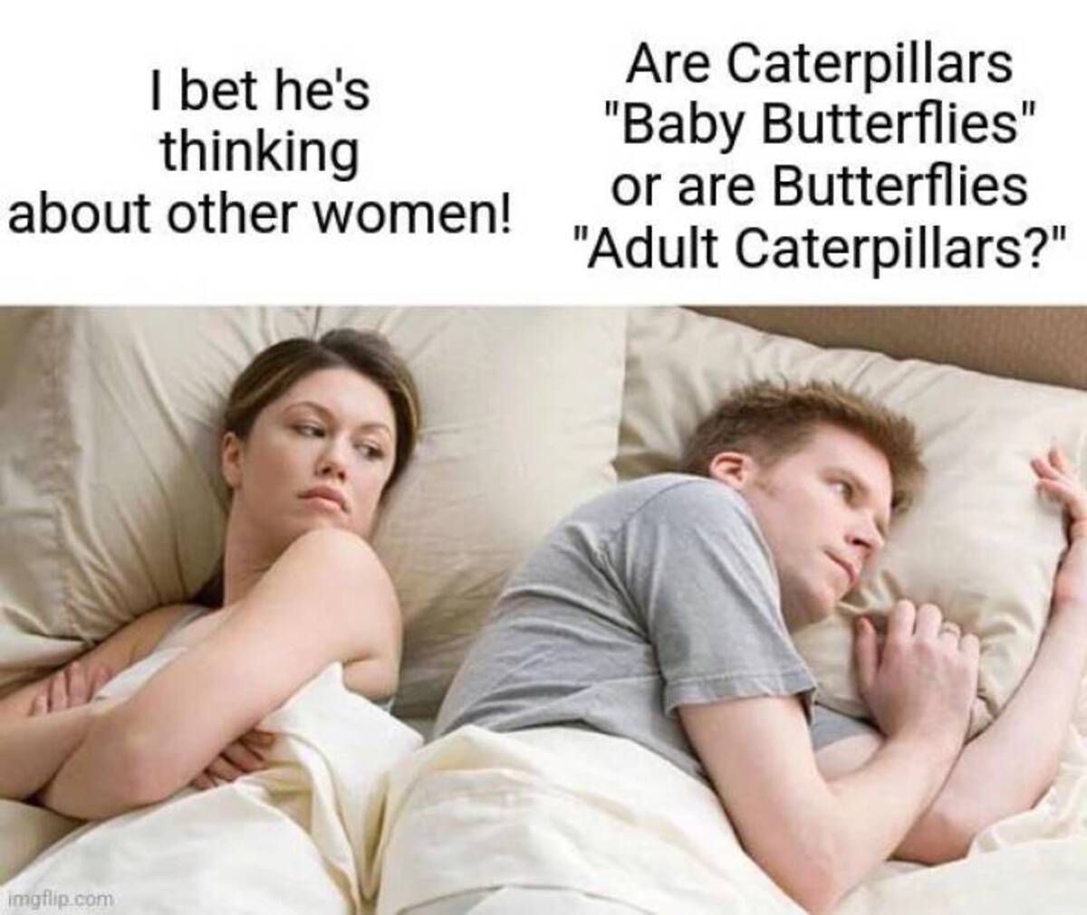 must be thinking of other women meme - I bet he's thinking about other women! imgflip.com Are Caterpillars "Baby Butterflies" or are Butterflies "Adult Caterpillars?"
